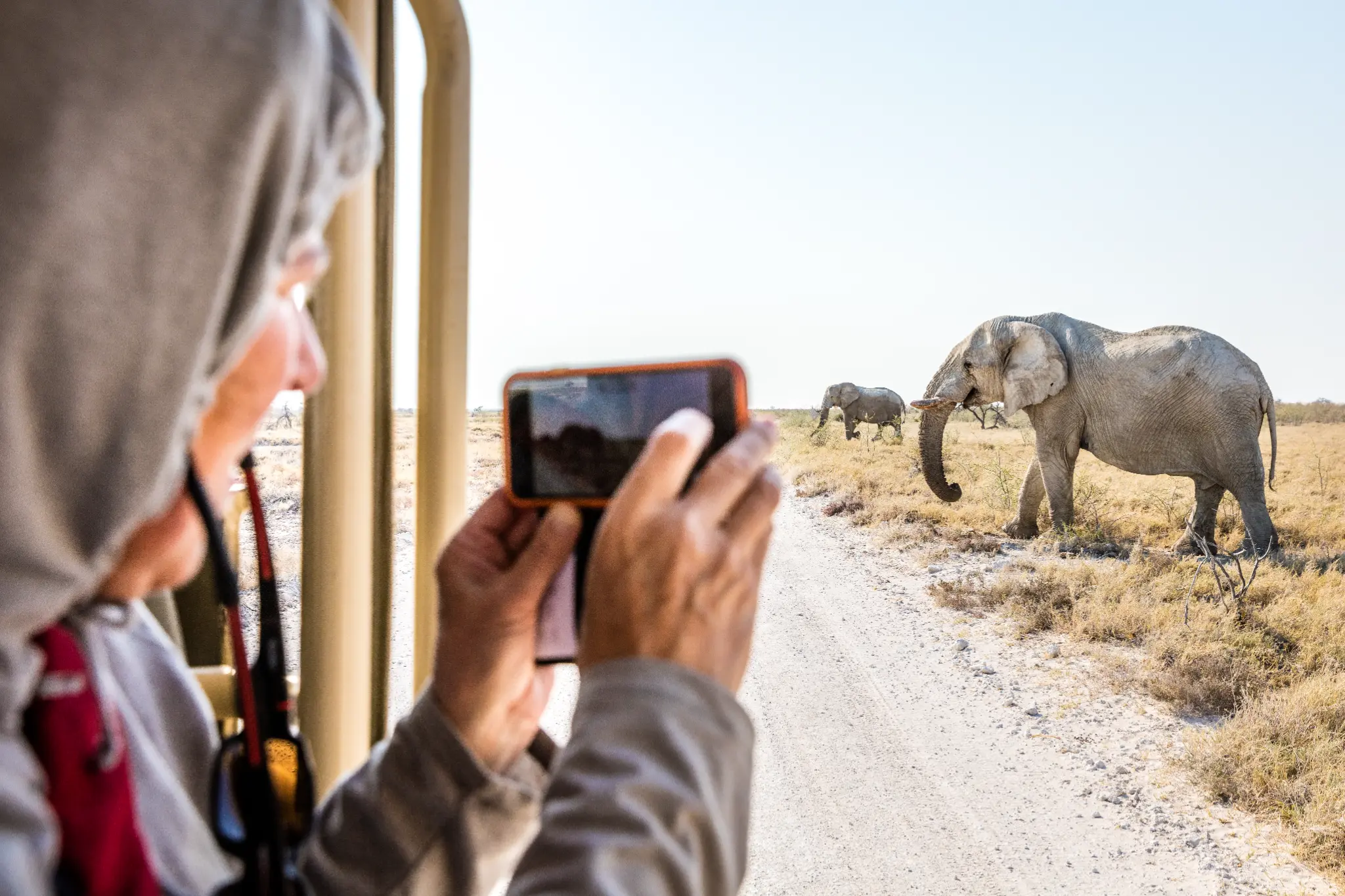 Etosha elephant
