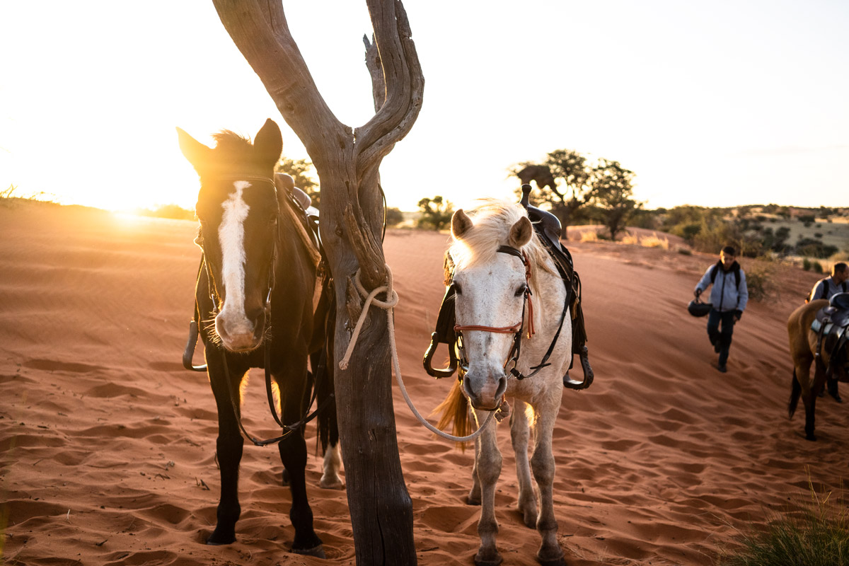 Morning ride at Bagatelle