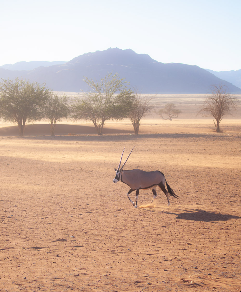 Horseback adventure at Kwessi Dunes
