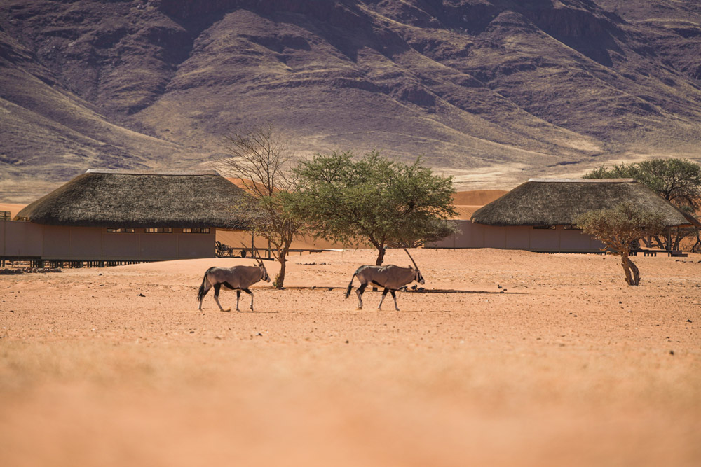 Riding through the wilderness
