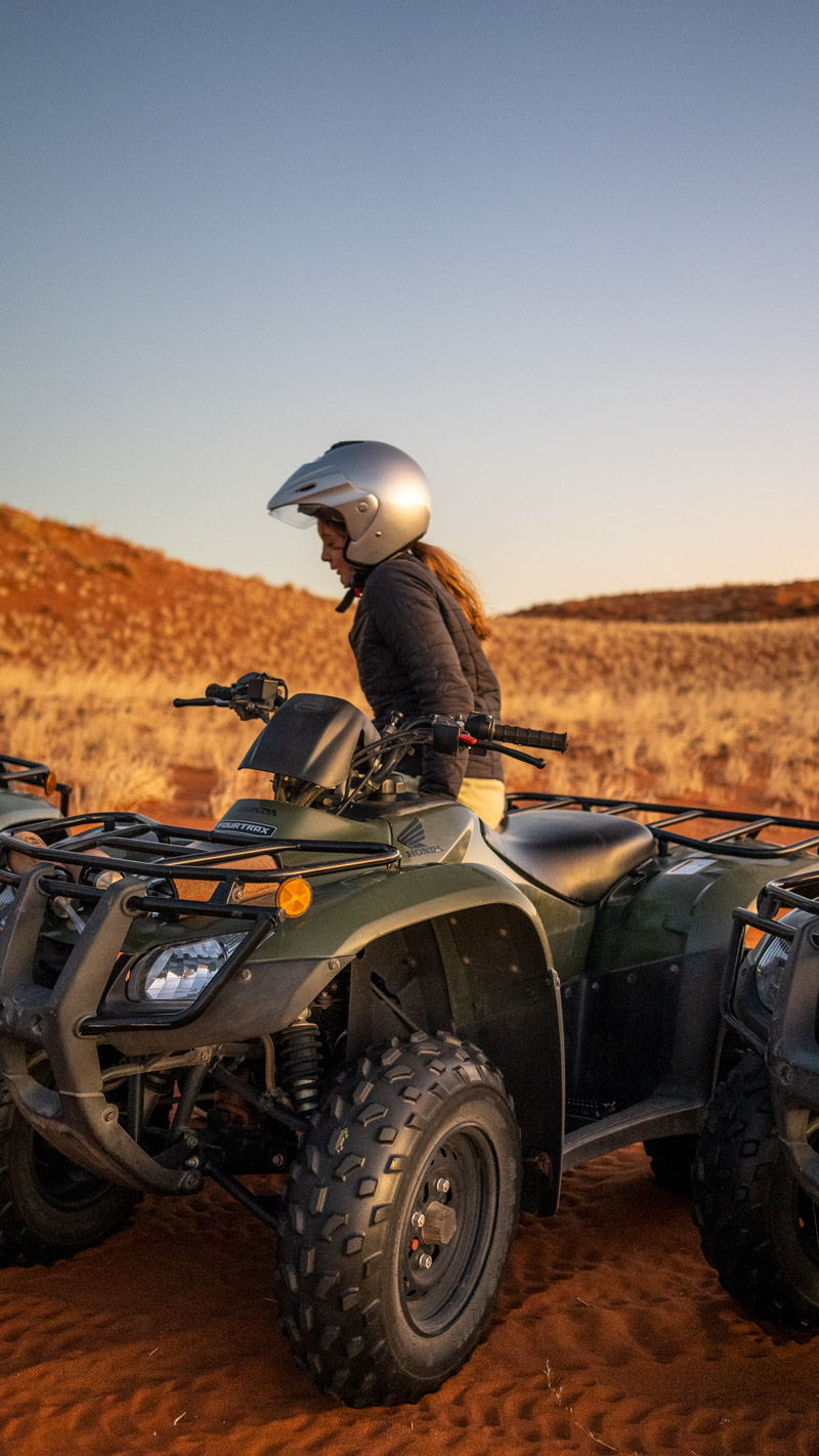 Wildlife encounter on horseback