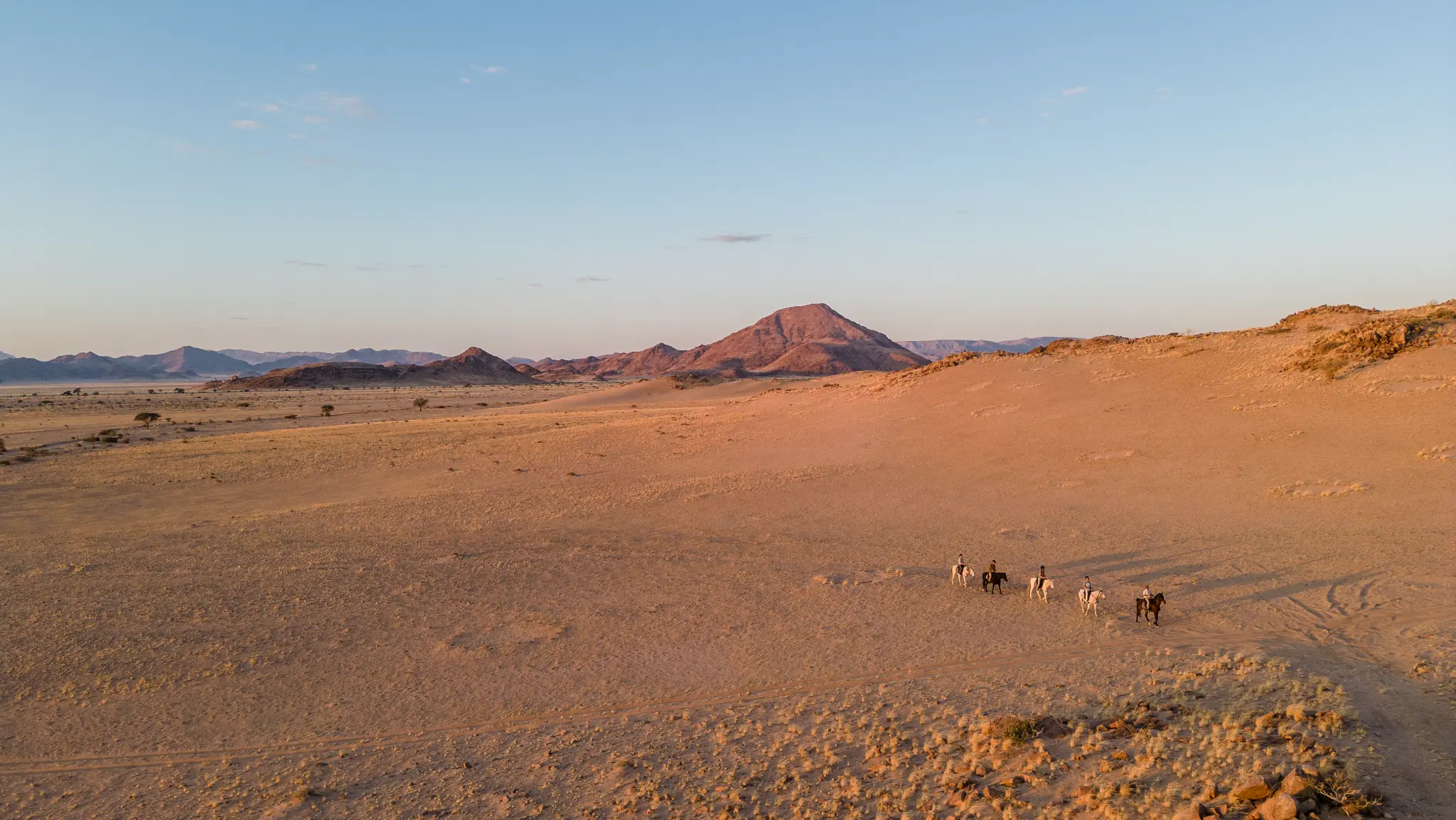 Wildlife viewing from the saddle