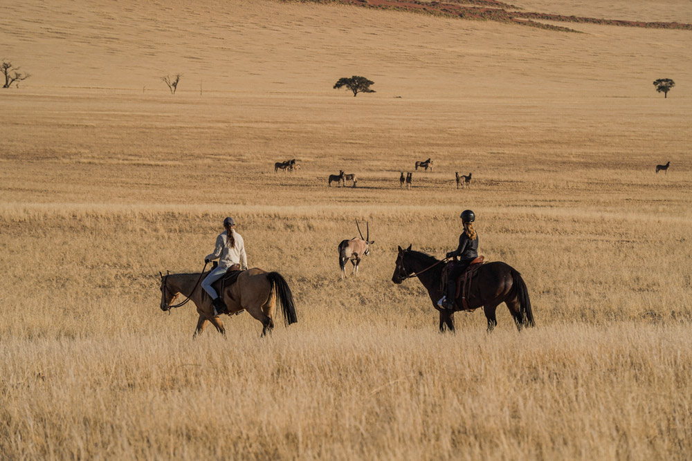 Horseback Safaris
