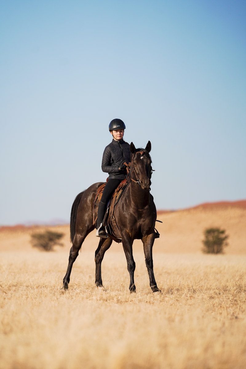 Sunset ride in the desert