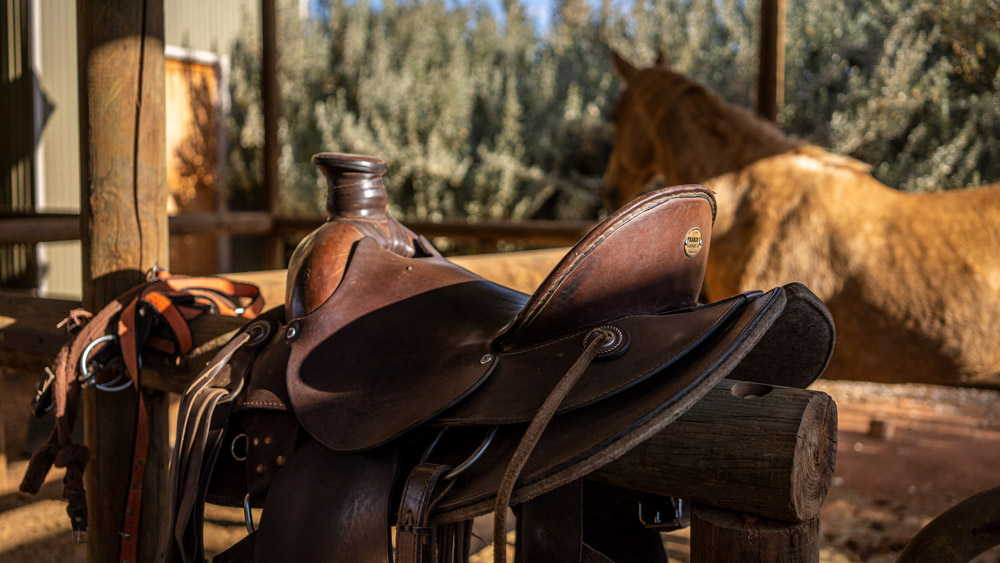 Exploring the dunes on horseback
