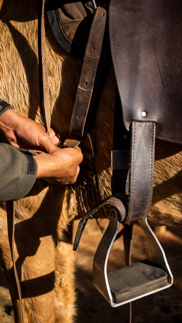 Morning ride at Wolwedans