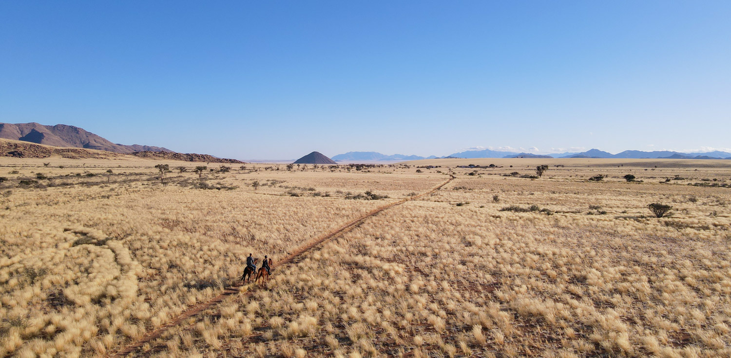 Desert exploration on horseback