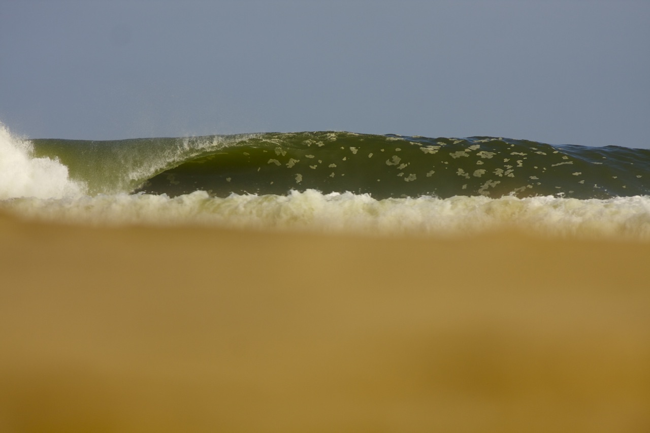 Charging the Donkey - Skeleton Bay Namibia